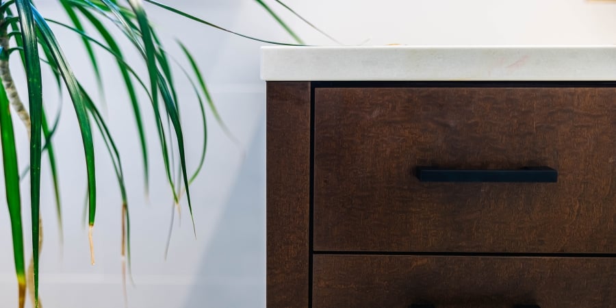 do plants affect air quality at home
